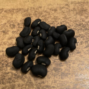 Puerto Rican Black Cowpea