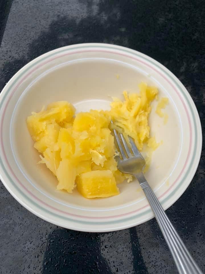 Cassava - Shan's Yellow