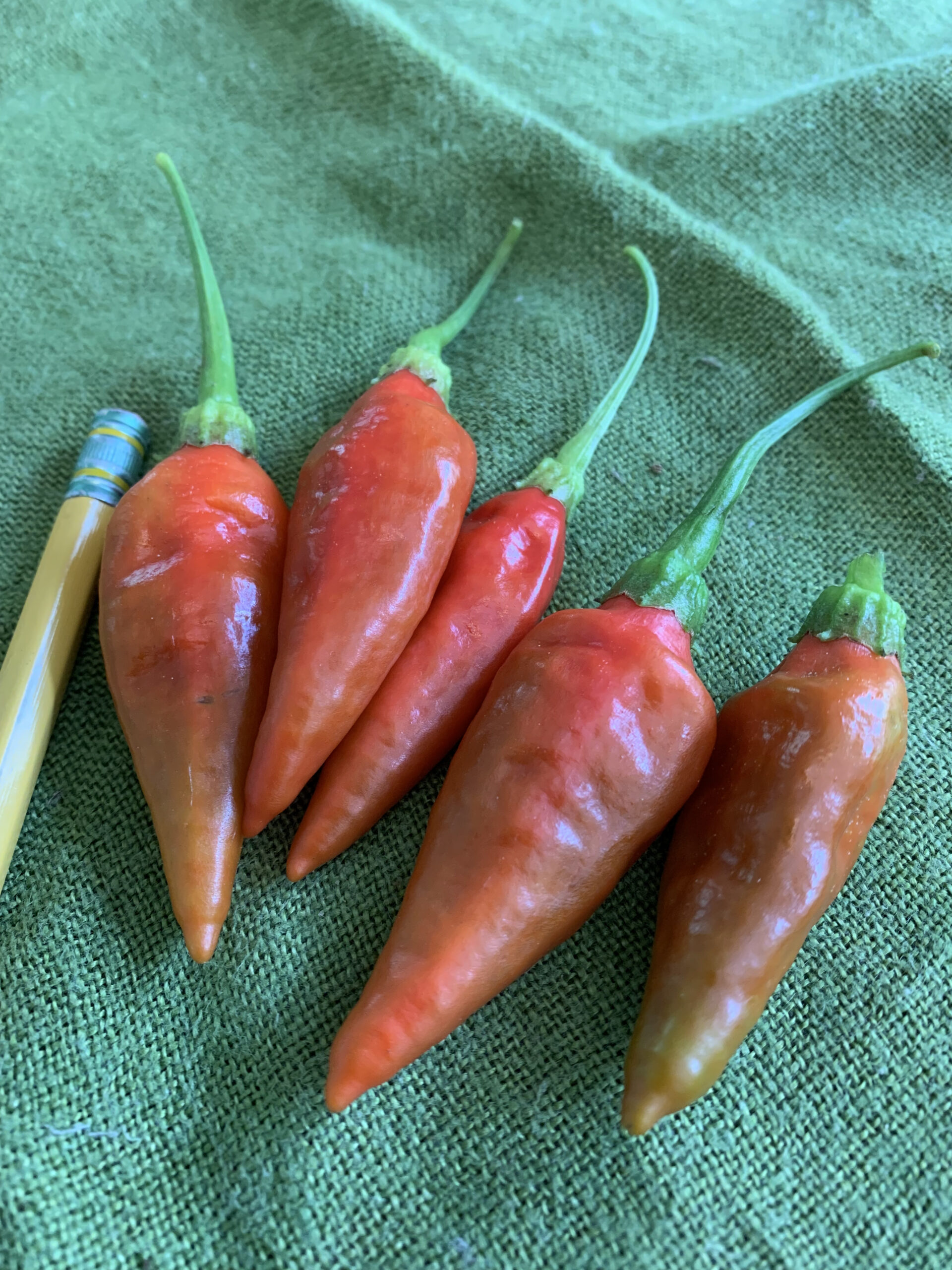 Aji Sazonar Pepper