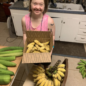 Banana- Dwarf Namwah
