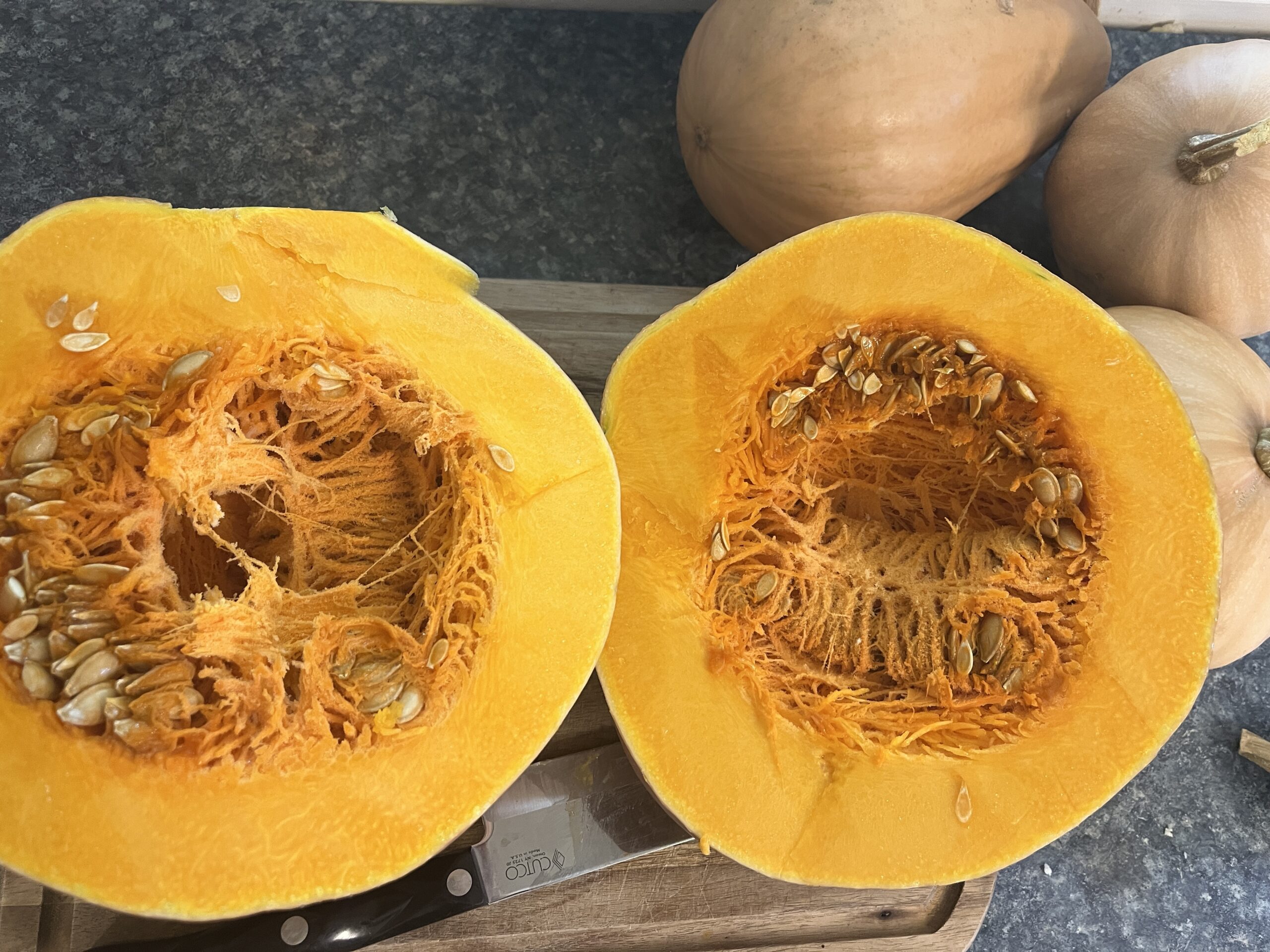 Seminole Pumpkin - Diverse Shape Population - Image 4