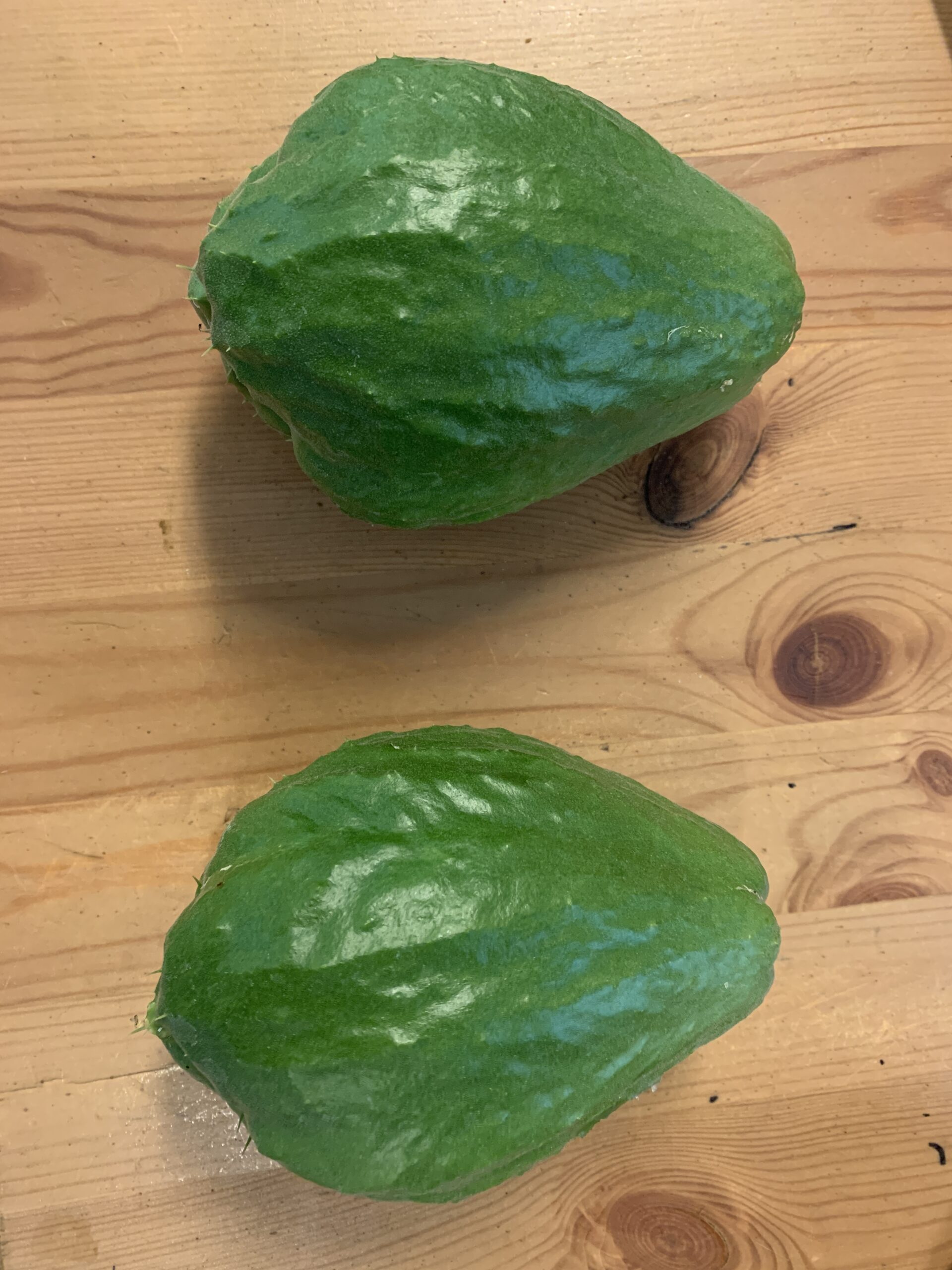 Chayote - “Kong” - Day Neutral Variety - Image 5