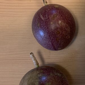 Bounty Passionfruit Seeds