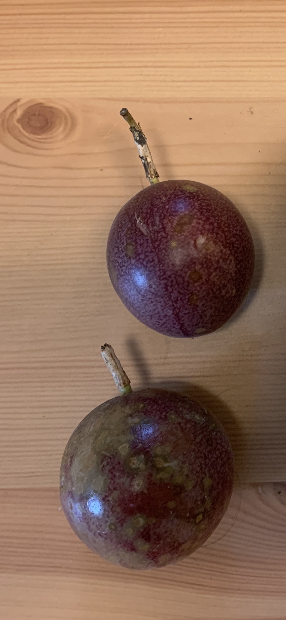 Bounty Passionfruit Seeds
